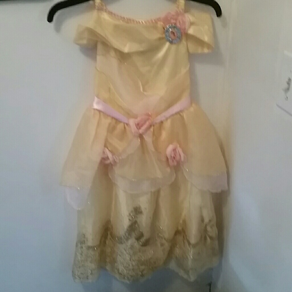 Disney Belle Costume